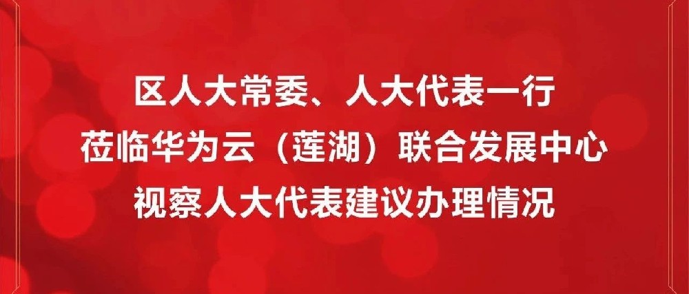 区人大代表团莅临华为云（莲湖）联合发展中心视察