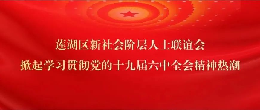 莲湖区新社会阶层人士联谊会丨掀起学习贯彻党的十九届六中全会精神热潮