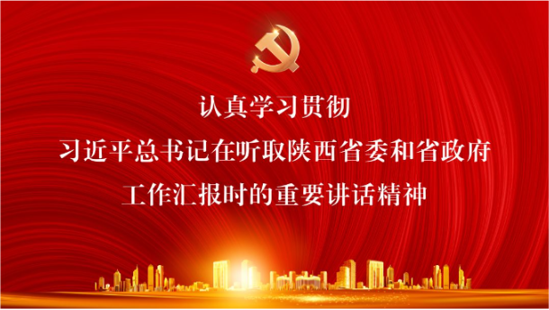 莲湖区新的社会阶层人士联谊会丨认真学习习近平总书记在听取陕西省委和省政府工作汇报时的重要讲话