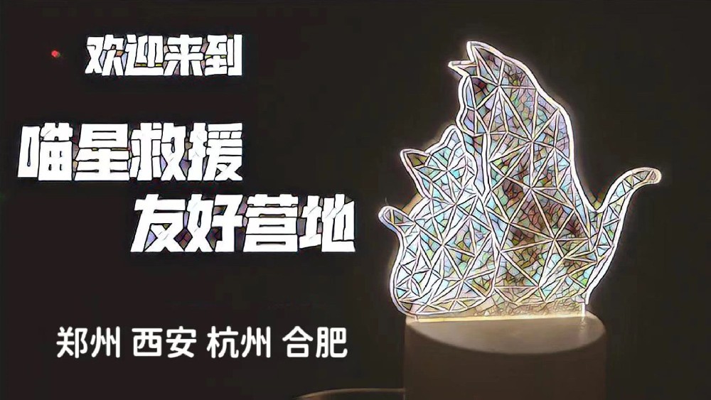 入孵星企｜喵星救援友好营地