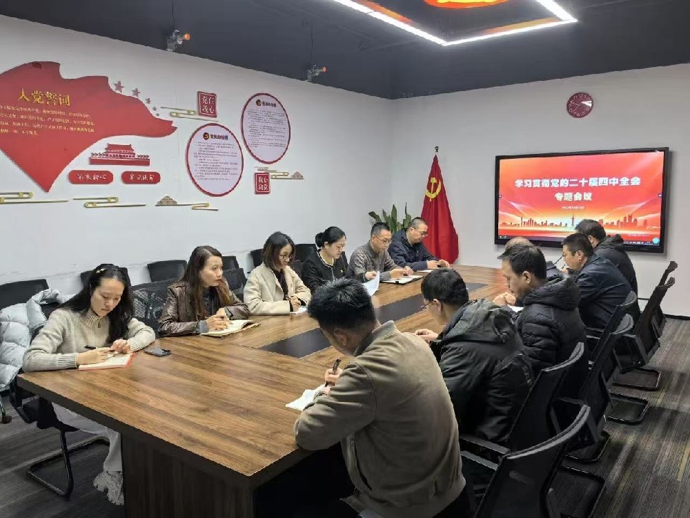 深学笃行——学习贯彻党的二十届四中全会精神